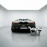 GRAIL Exhaust System | no road approval | suitable for...
